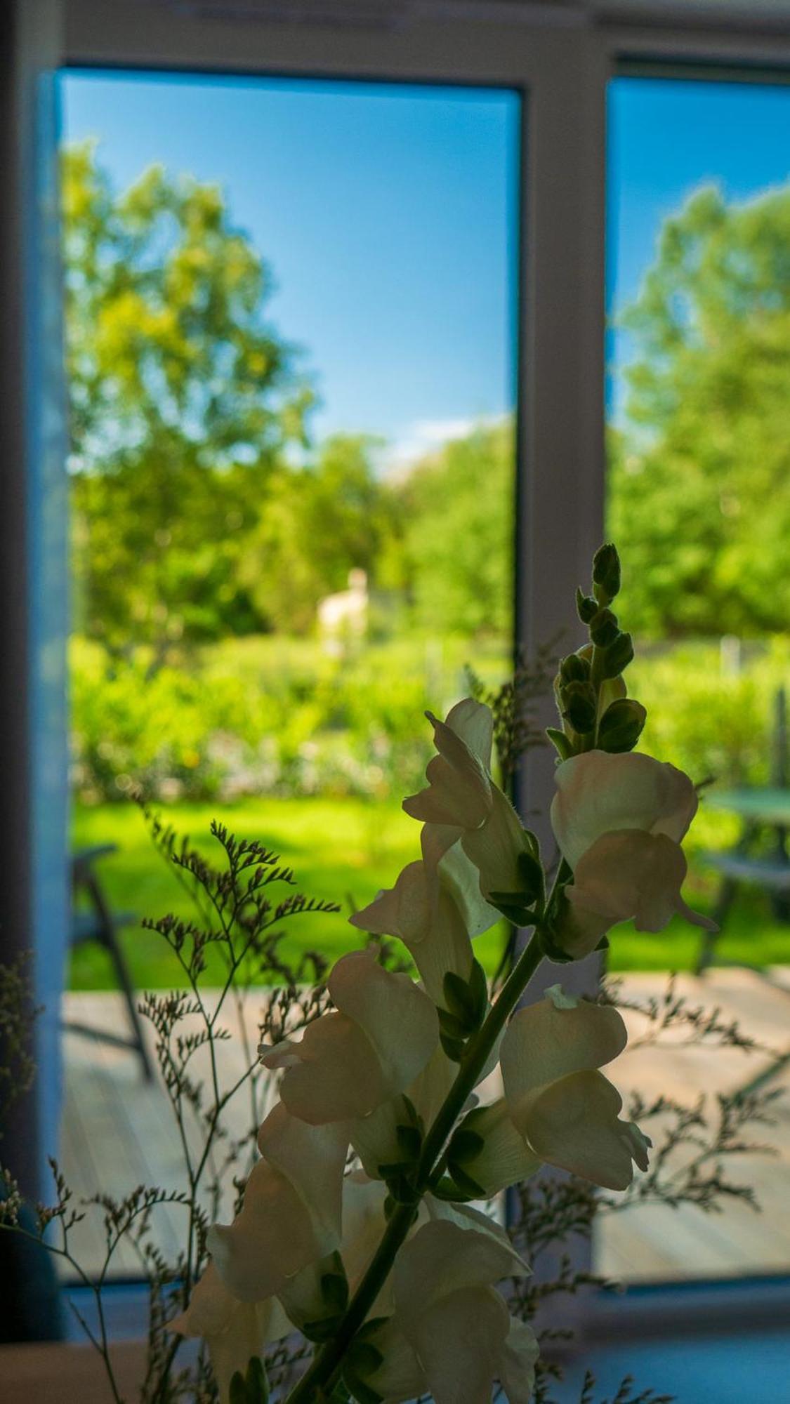 Apartament W Willi Z Sauna I Ogrodem Surfingbird Dźwirzyno Exterior foto